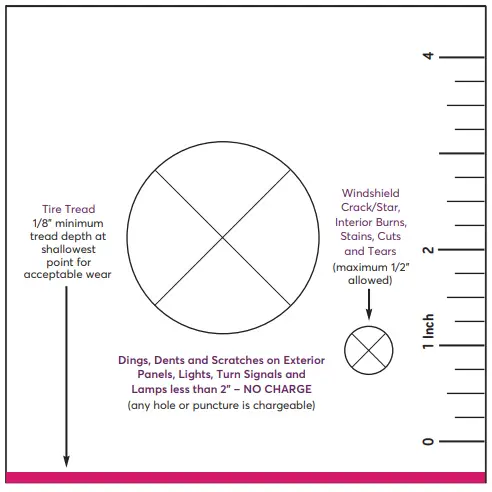 Template for self assessment of damage